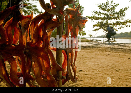 Le poisson séché accroché au bord de la boutique, Myanmar Banque D'Images