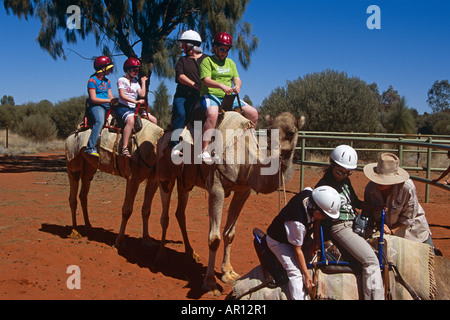 Train de chameaux et les cavaliers, Kata Tjuta National Park, Territoire du Nord, Australie Banque D'Images