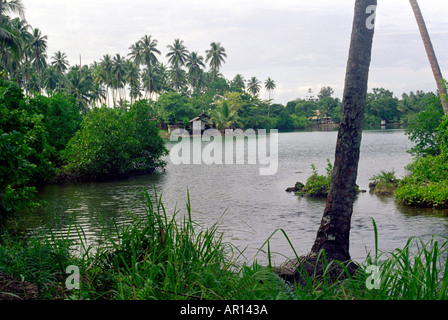 Lagoon village près de Madang Papouasie-Nouvelle-Guinée Banque D'Images