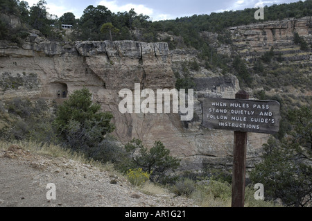 Avertissement sur les mules sur Bright Angel Trail Banque D'Images