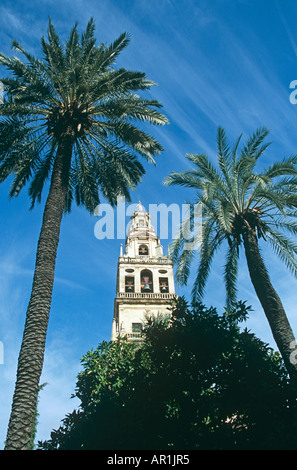 La Cathédrale Mezquita, Cordoue, Espagne Banque D'Images