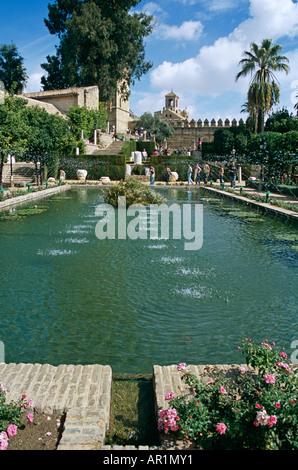 Étang dans les jardins de l'Alcazar de los Reyes Cristianos, Forteresse des Rois Chrétiens, Cordoue, Espagne Banque D'Images