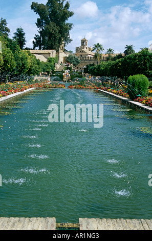 Étang dans les jardins de l'Alcazar de los Reyes Cristianos, Forteresse des Rois Chrétiens, Cordoue, Espagne Banque D'Images