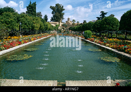 Étang dans les jardins de l'Alcazar de los Reyes Cristianos, Forteresse des Rois Chrétiens, Cordoue, Espagne Banque D'Images