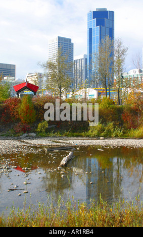 ARCHITECTURE : vue sur le centre-ville de Calgary, Alberta, Canada avec reflets dans la rivière Elbow Banque D'Images