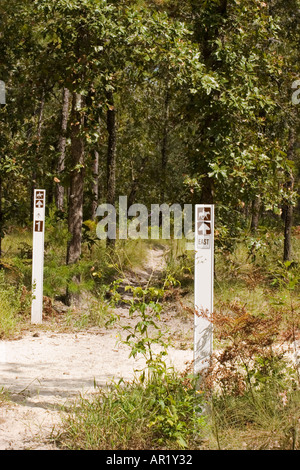 Marqueur de piste ouvre la voie sur la croix du Nayls Florida Greenway Trail bike trail Banque D'Images