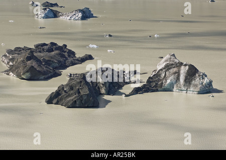 Les icebergs flottant dans le lac Tasman, parc national du Mont Cook, Nouvelle-Zélande Banque D'Images