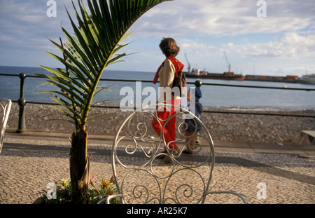 Promenade du port, Funchal, Avenida Arriaga, Madeira, Portugal Banque D'Images