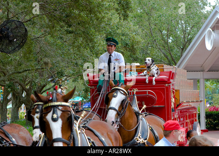 Anheuser Busch's Budweiser Clydesdale Horse Wagon à Seaworld Orlando Florida USA Banque D'Images