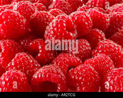 Close up de framboises fraîches du châssis de remplissage Banque D'Images