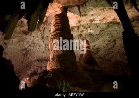 Hall de Géants Le parc national de Carlsbad Caverns, Nouveau-Mexique Carlsbad Caverns National Park, Nouveau Mexique USA Banque D'Images