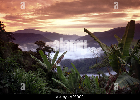 Un matin, vue sur les vallées des Yungas Banque D'Images