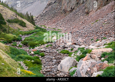 Au nord du ruisseau clair coule dans le Canyon de Florence, Cloud Peak Wilderness, Bighorn National Forest, Bretagne France Banque D'Images