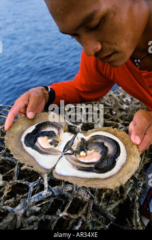 Pearl Diver holding ouvert huîtres avec Pearl, l'île de Palawan, Philippines, Asie Banque D'Images