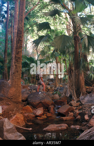 Trekking, El Questro Gorge, Plateau, Kimberley WA Australie Banque D'Images