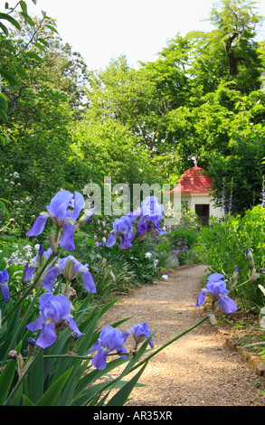 L'iris, le jardin supérieur historique, George Washington's Mt. Vernon & Gardens, Mt. Vernon, Virginia, USA Banque D'Images