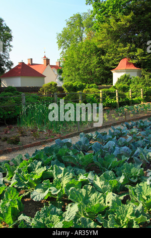 Jardin haute historique, George Washington's Mt. Vernon & Gardens, Mt. Vernon, Virginia, USA Banque D'Images