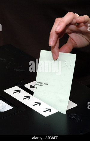 Urnes de vote étant placé dans la fente d'élection. Le vote des femmes Banque D'Images