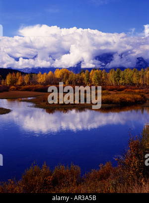 Parc National de Grand Teton dans le Wyoming où couleur automne peupliers faux-tremble et se reflètent dans les eaux de la rivière Snake Banque D'Images