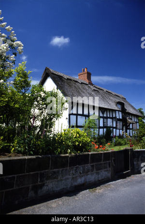 Cottage de chaume Anglais Banque D'Images