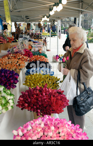 Femme âgée l'achat des fleurs au marché libre Banque D'Images