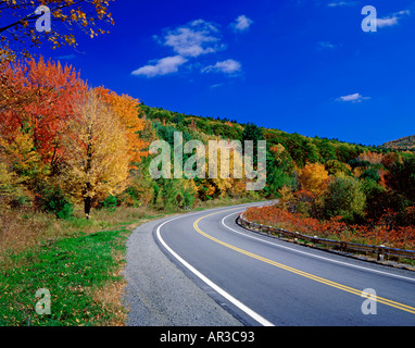 L'autoroute 206 dans le nord de New York USA pendant la saison des feuilles d'automne Banque D'Images