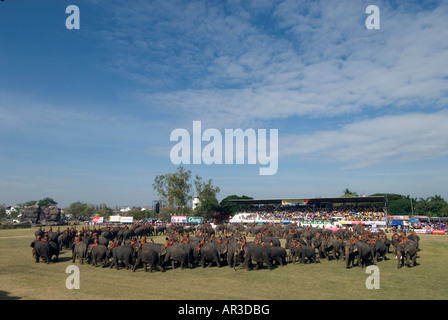 Surin Thaïlande roundup éléphant Banque D'Images