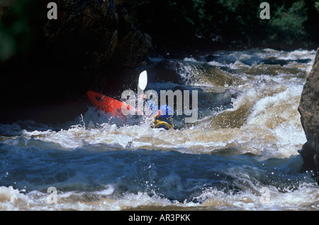 Kayak en eau vive sur Clear Creek, près de Golden Colorado Banque D'Images