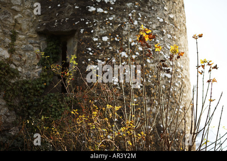 Château de Cahir County Tipperary République d'Irlande Europe Banque D'Images