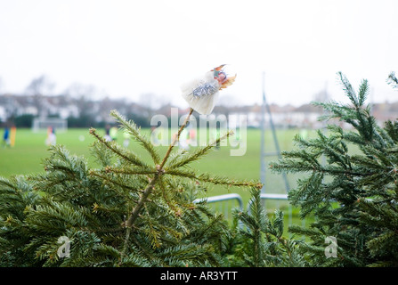 Les arbres de Noël recyclé en attente de collection par le conseil local dans la région de Sussex, Angleterre Banque D'Images