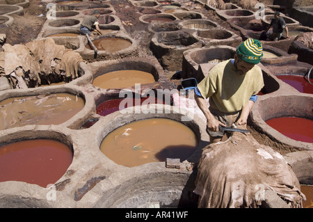 Travailleur dans les tanneurs trimestre, Chouara, Fes, Maroc Banque D'Images