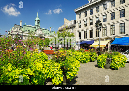 L'Hôtel de Ville de Montréal Hôtel de Ville vu de la Place Jacques Cartier situé dans le Vieux Montréal Banque D'Images