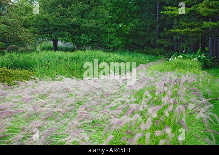 Graminées ornementales et arbres de passages et allées tout au long du Jardin botanique de Montréal, Montréal, Québec Canada. Banque D'Images