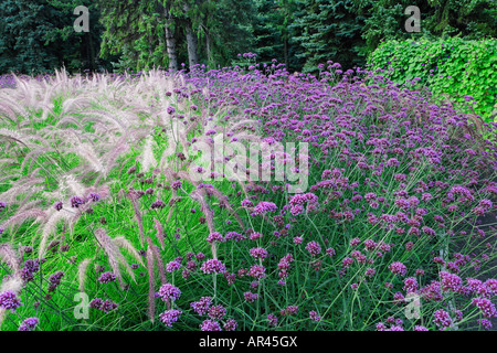 Graminées ornementales et arbres de passages et allées tout au long du Jardin botanique de Montréal, Montréal, Québec Canada. Banque D'Images