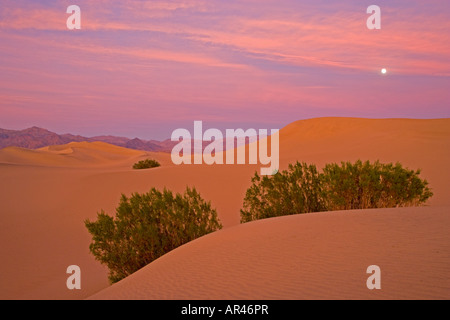 La tombée de la lune et les dunes de sable de tuyau de poêle Wells salon Death Valley en Californie, N.P.. Banque D'Images