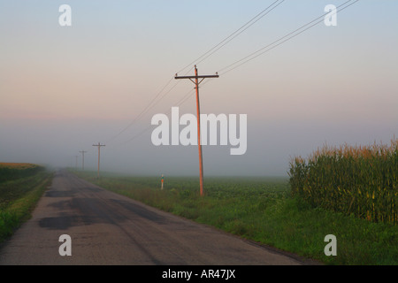 Lever du soleil sur un temps brumeux MATIN DE JUILLET DANS LES TERRES AGRICOLES DU CENTRE DE L'ILLINOIS Banque D'Images