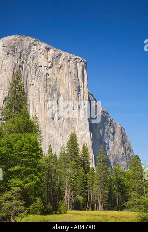 CA, Yosemite NP, El Capitan Banque D'Images