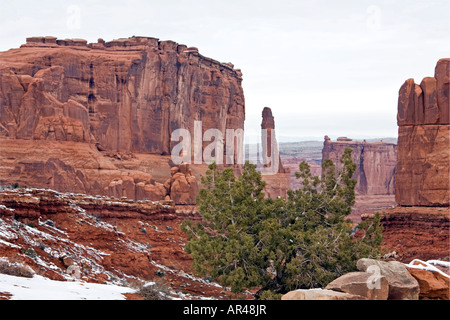 Arches Park Ave formation avec un cèdre près. Monument National des Arches l'Utah Banque D'Images