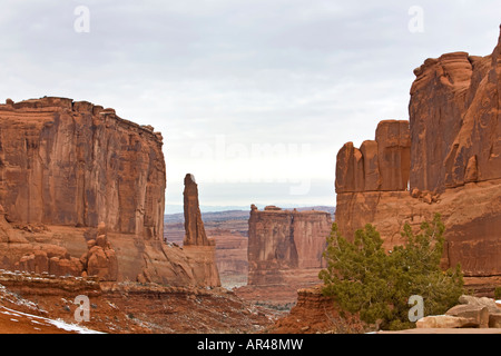 Arches Park Ave formation avec un cèdre. Monument National des Arches l'Utah Banque D'Images