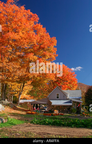 Automne farmstand dans le New Hampshire Banque D'Images