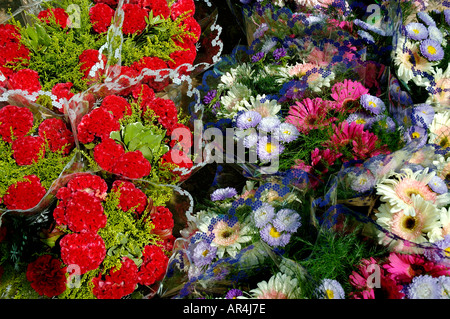 Bouquet de fleurs enveloppées dans du cellophane Banque D'Images