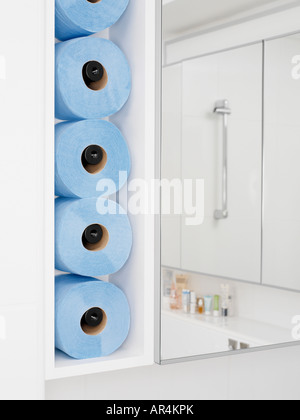Rouleaux de papier toilette dans une salle de bains Banque D'Images