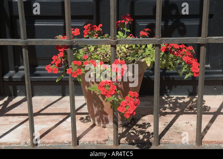 Andalousie Espagne géraniums en pot de fleur sur le rebord de fenêtre Banque D'Images