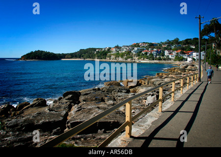 Arbre généalogique chou réserve aquatique de la baie près de Manly Australie Banque D'Images