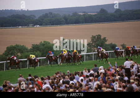 Goodwood Horse races Sussex Downs Angleterre 2010 2011 HOMER SYKES Banque D'Images