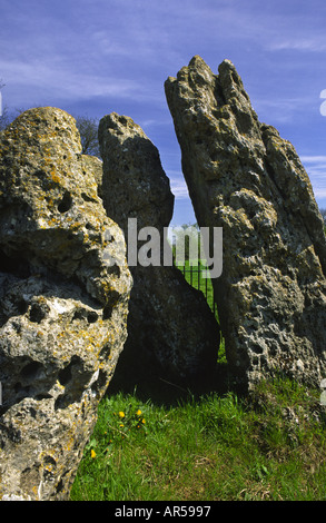 Le Whispering Knights une partie de l'ancien Rollright Stones dans l'Oxfordshire England UK Banque D'Images