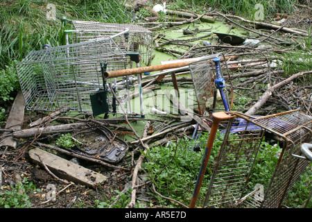 Supermarché trollies déversés dans un étang de la faune Banque D'Images