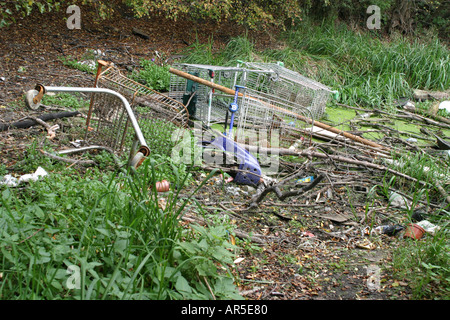 Supermarché trollies déversés dans un étang de la faune Banque D'Images