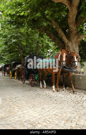 Voitures calèche à Sintra une ville de villégiature au pied des montagnes de Sintra au Portugal, près de Lisbonne Portugal Banque D'Images