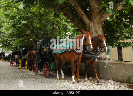 Voitures calèche à Sintra une ville de villégiature au pied des montagnes de Sintra au Portugal, près de Lisbonne Portugal Banque D'Images